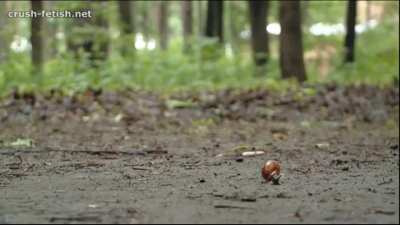 Another casual snail walkover