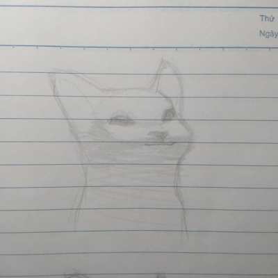 Cat pop meme