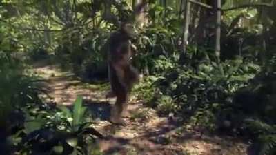 E assim que ra&ccedil;a humana evoluiu