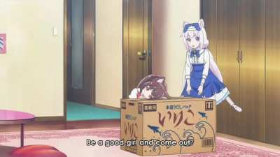 American Neko