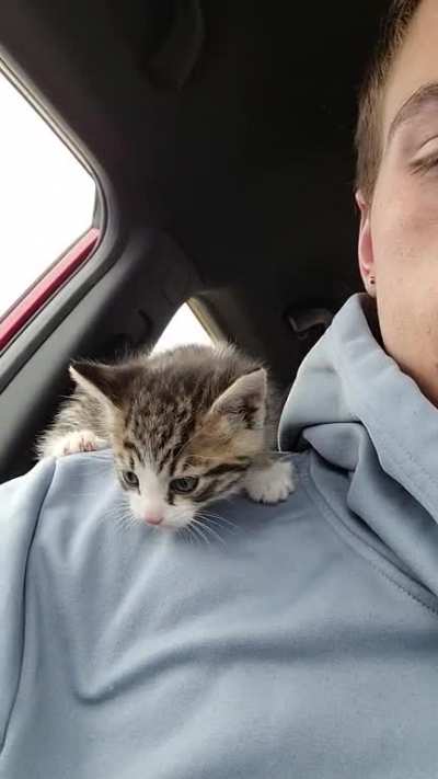 Smol Squek