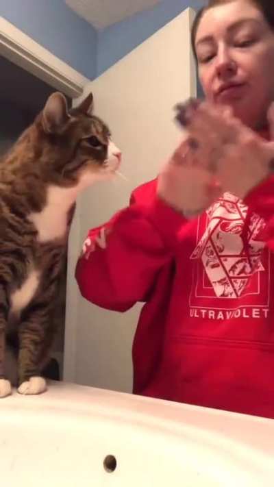 Kitty wants the same night time routine as her hooman.