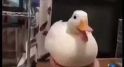 No title needed