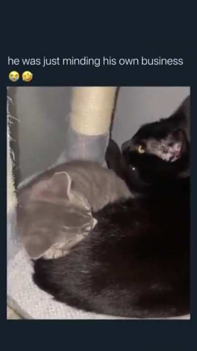 i-