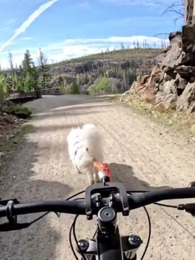 Join us on a leisurely morning bike ride