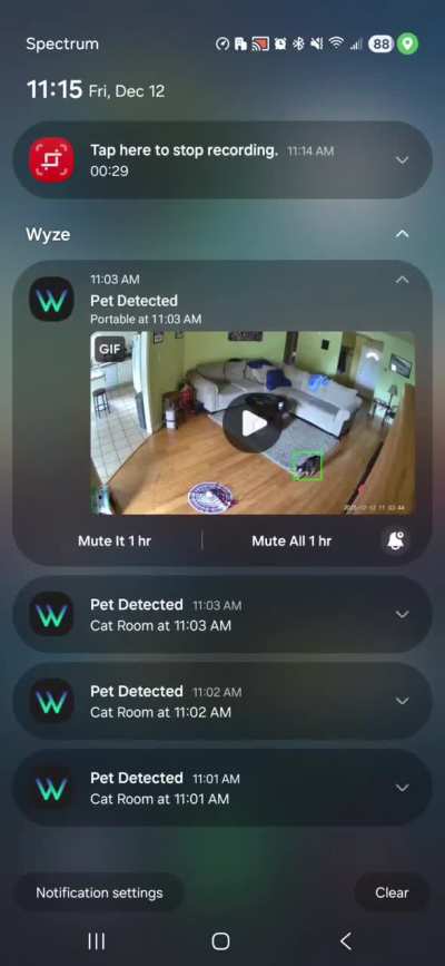 [Video] Android Notifications are not playing the Gif when I hit play. Notifications for my Cam v4 have been sub-standard all Fall.