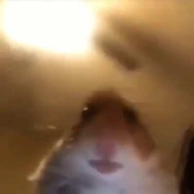 I just wanted to Facetime with you, answer pls