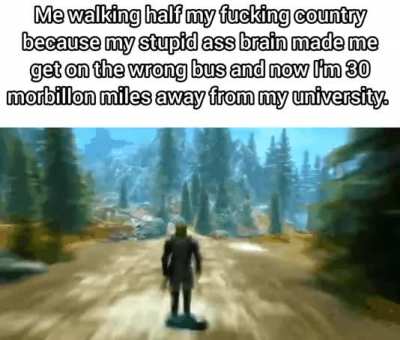 Stupid brain