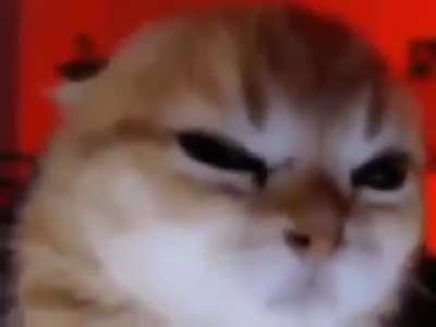 Very angry world destroyer wunk