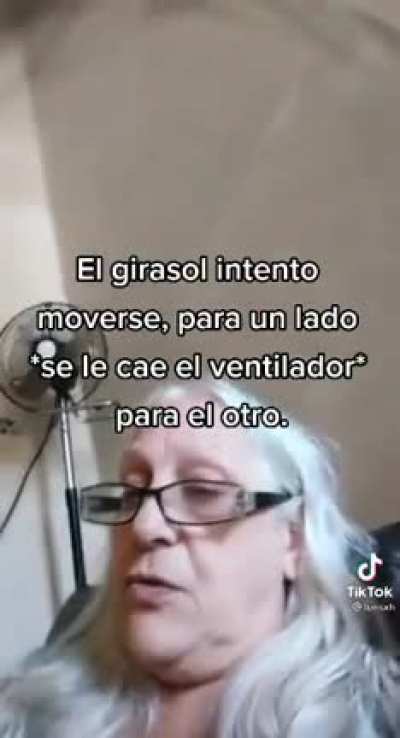 El girasol