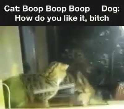 To fuck with this doggo XD