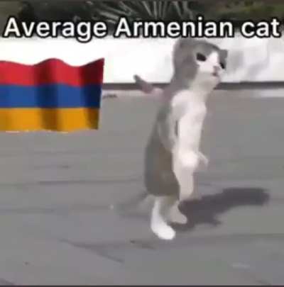 r&oelig;le