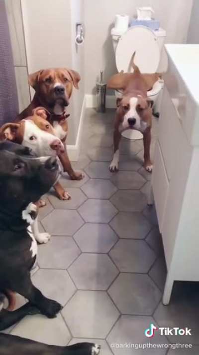 They know it&rsquo;s impolite to stare
