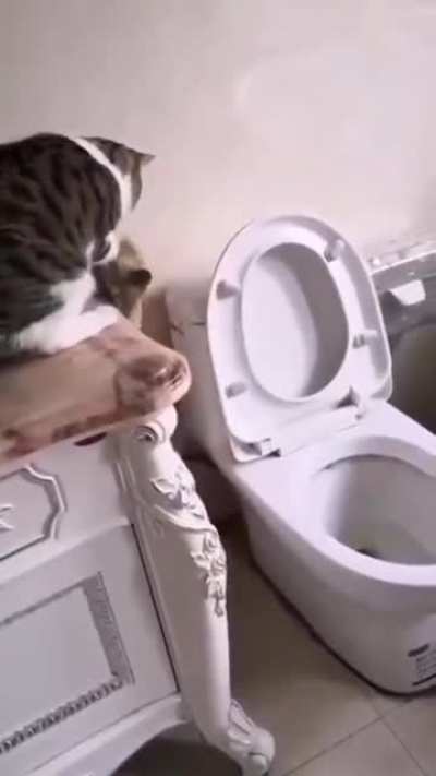 Well, there goes your towel.