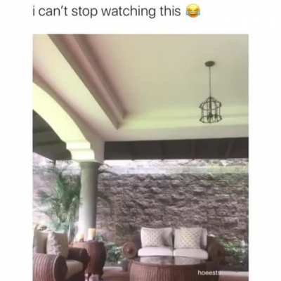 Shakira unseen footage ft. Table Glass