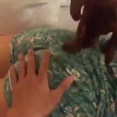 Doggy Style