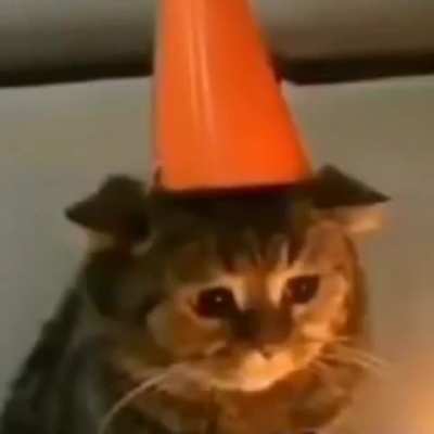 I put on a happy face, and this is how I feel. It feels like the end of the world. I&rsquo;m so lonely&hellip;
