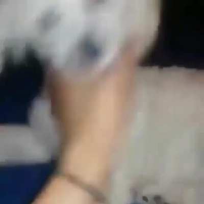 Deja de morder