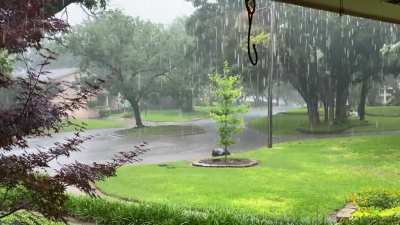 Arlington, TX