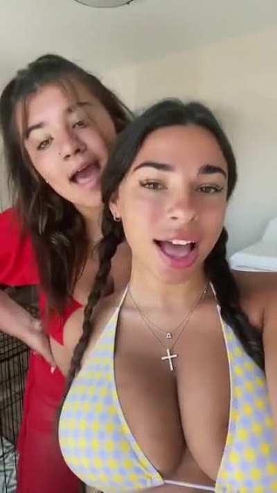 Alexuh1