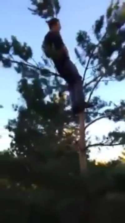 Don't Drink And Climb