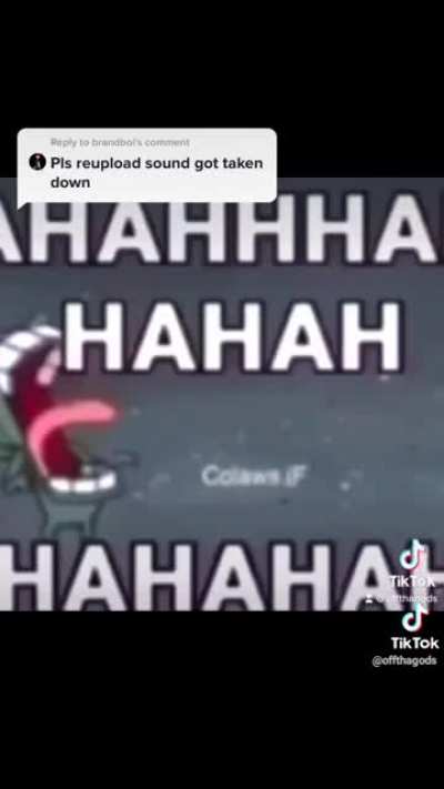 Sus