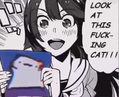 Rule