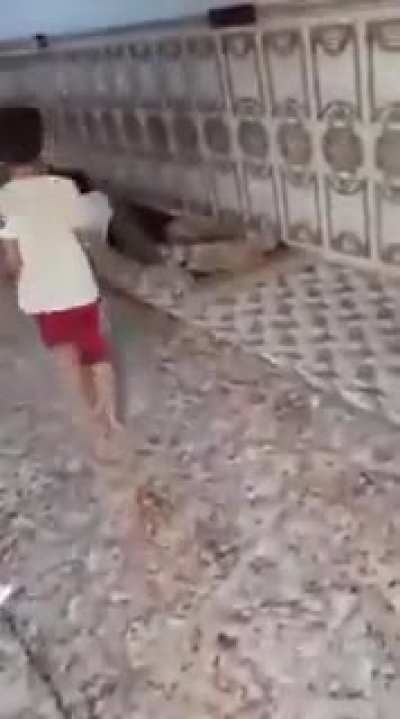 Betrayal 100