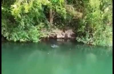 POV: Fishing