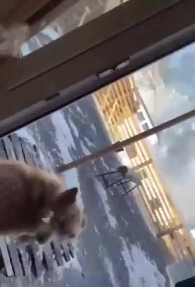 Weeeeeeeeeeee