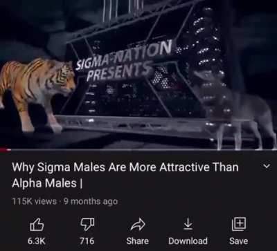 Sugma Dick
