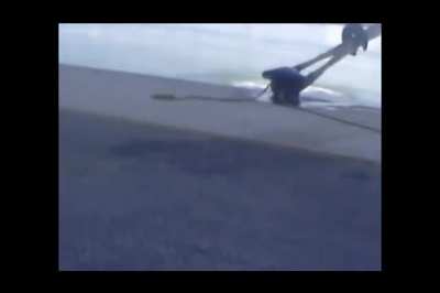 Man Jumps Off Ship