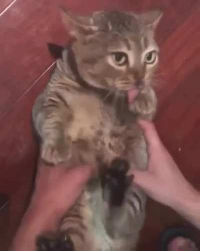 Protesting tickles