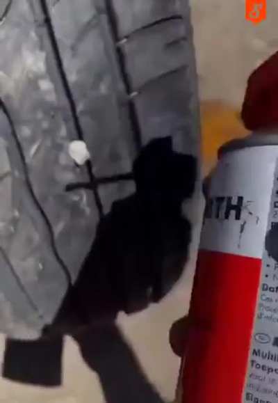 How to remove a rock from your tire for your safety.