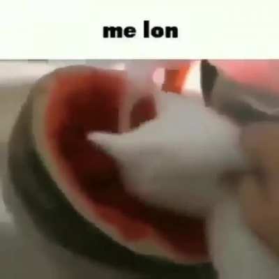 Me lon