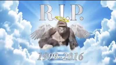 5 years 🙏😭🤧🕊
