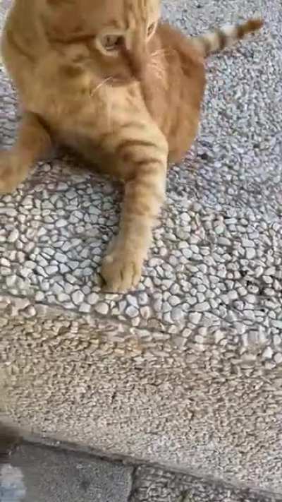 Met him by the clinic again. He didn&rsquo;t want pets, just someone to talk to