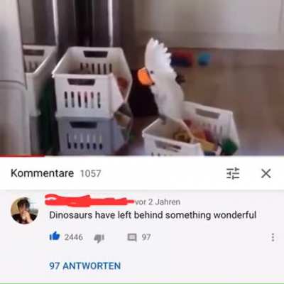 Birb screams