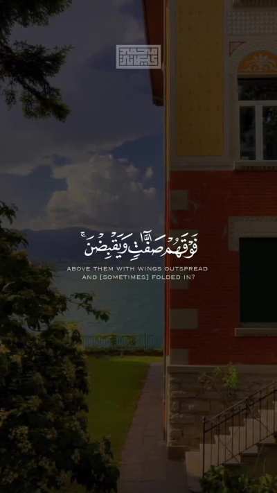 The flight of Birds is by the Power of Allah, and it is a Proof that He sees everything small and large. He gave birds the ability to fly as they need, not only 