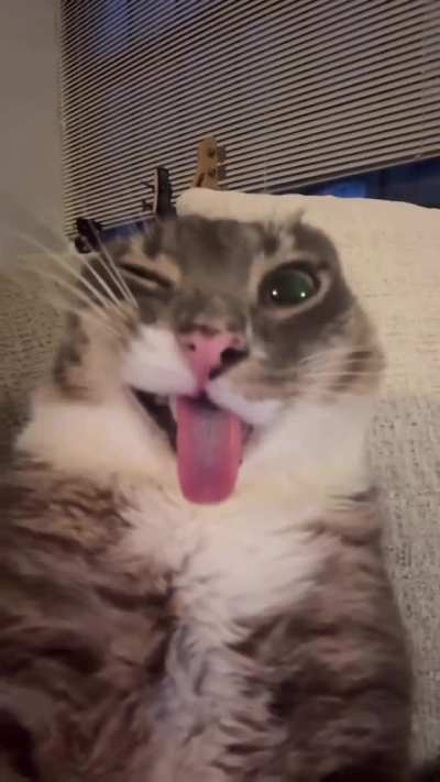 Me when nipples are crunchy