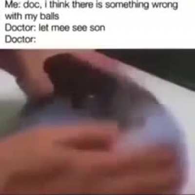 balls