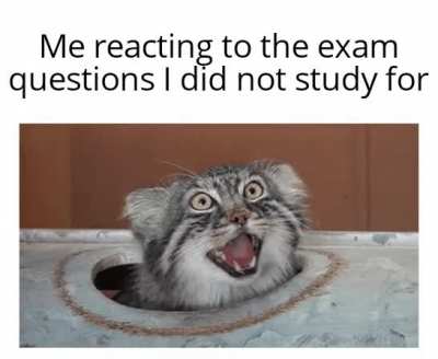 Am I meant to be here?!
