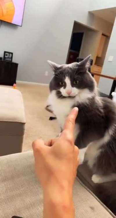 that is rude