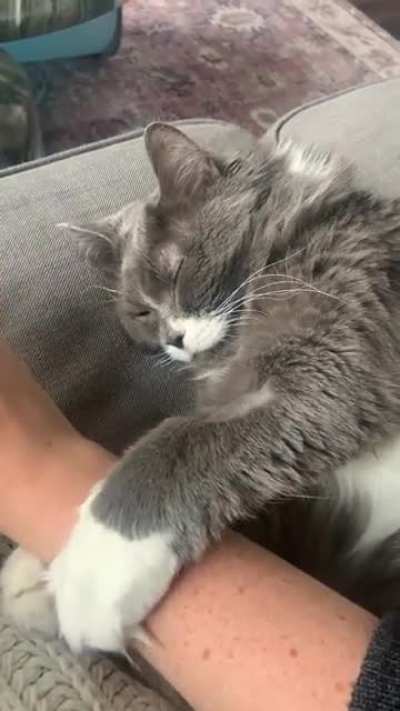 You think you can leave, human? Think again.