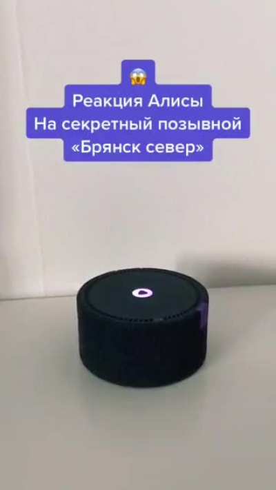 Алиса и Брянск-север.