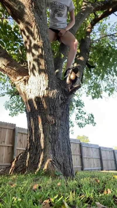 Lets not forget when I peed out of the tree lol