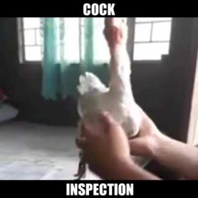 when was the last time you got your cock insp*cted 😳