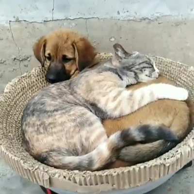 Yup, I&rsquo;ll fit