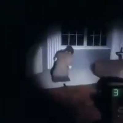 Zoinks