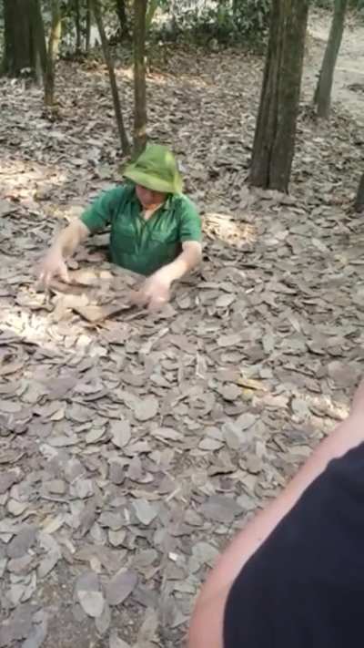 Amazing Camouflage - Vietnam